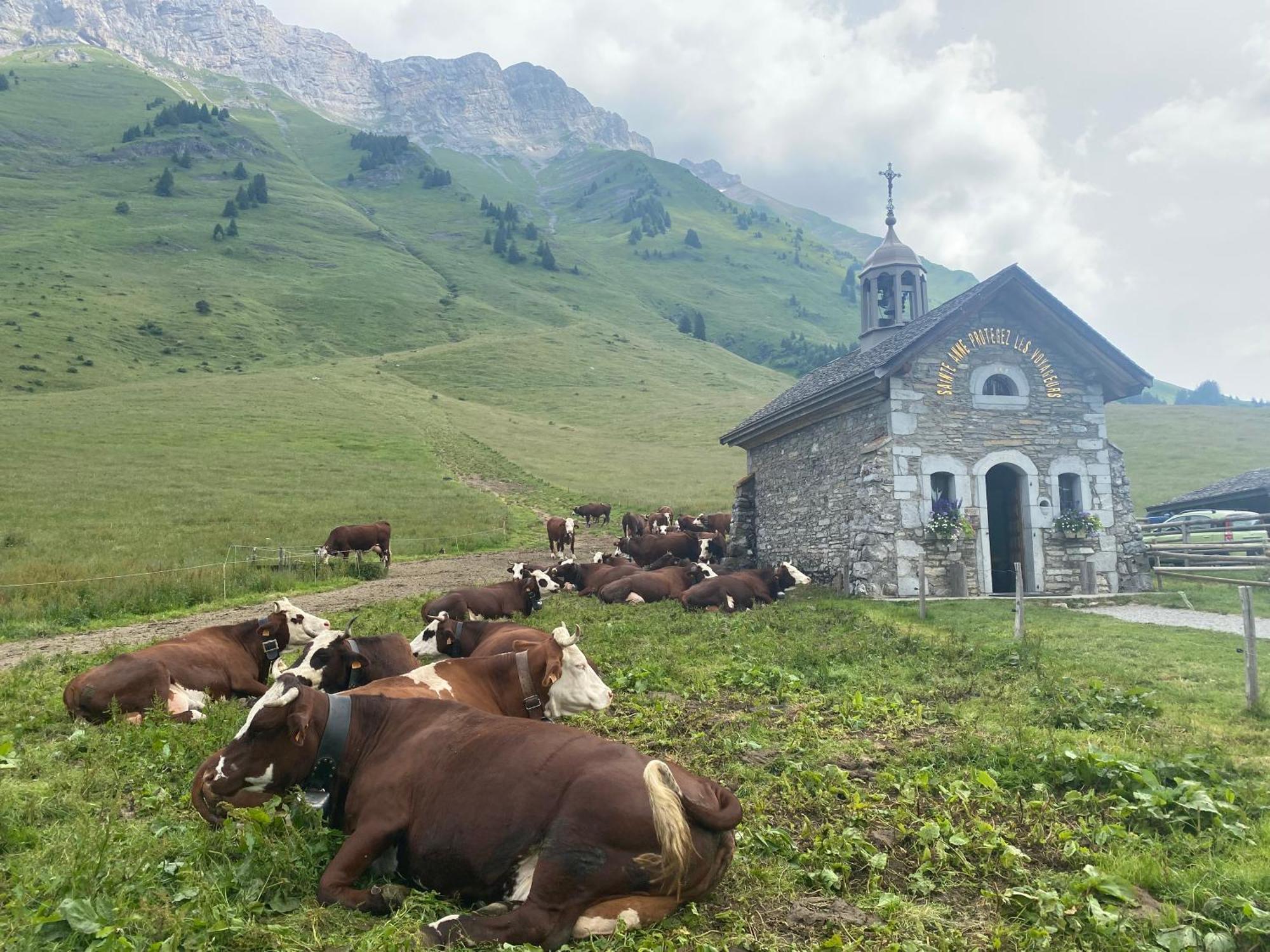 于日讷Chez Laurette Et Louis住宿加早餐旅馆 外观 照片