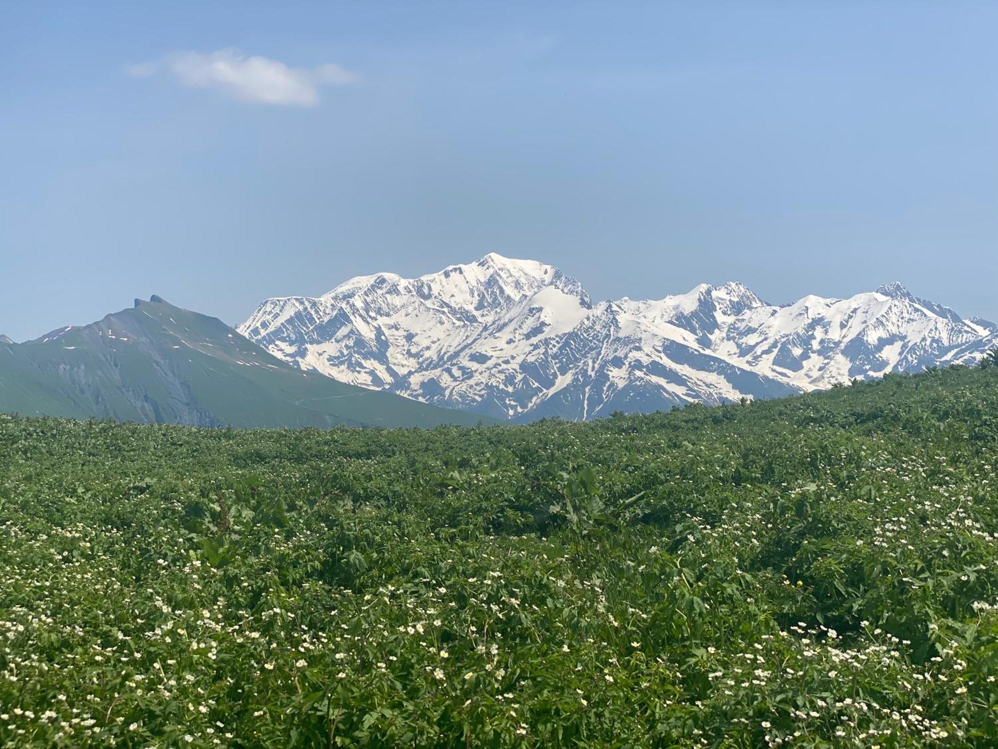 于日讷Chez Laurette Et Louis住宿加早餐旅馆 外观 照片